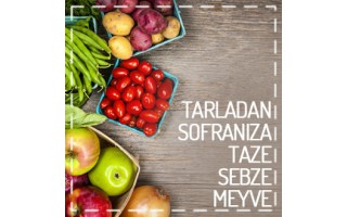 Commodo laoreet semper tincidunt lorem Vestibulum nun Commodo laoreet semper tincidunt lorem Vestibulum nun